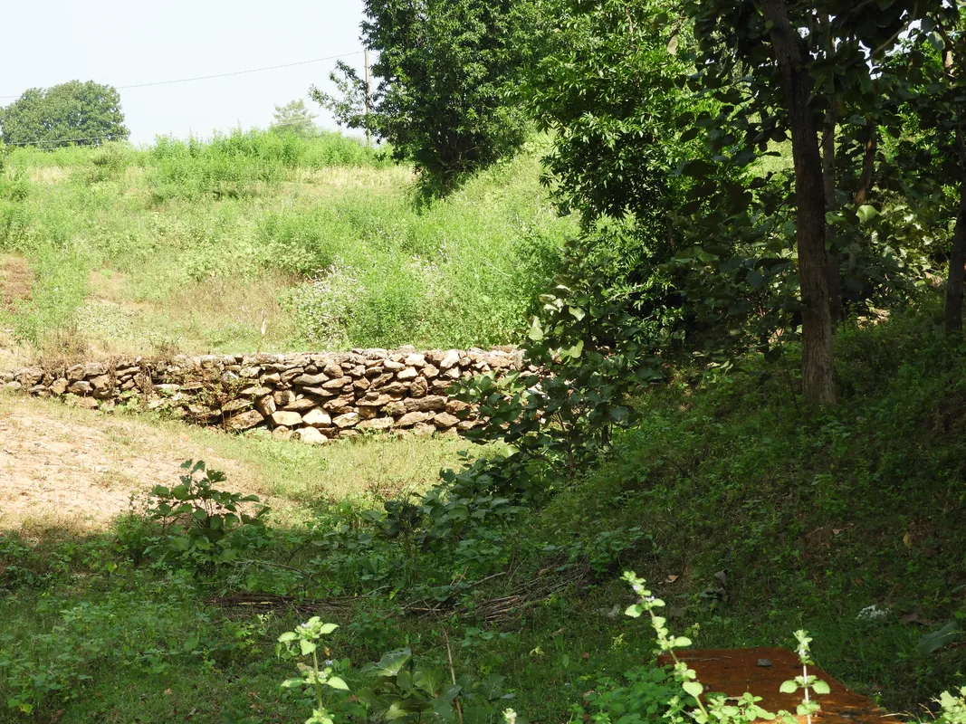 DSCN9779